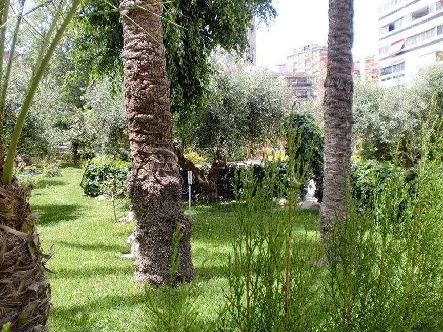 Apartamentos Cervantes Бенидорм Экстерьер фото